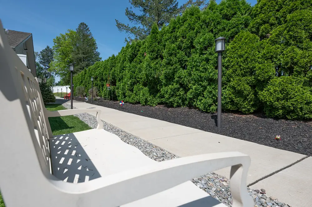 Allentown1 White bench next to a paved sidewalk bordered by decorative rocks, tall green hedges, and lampposts on a sunny day.