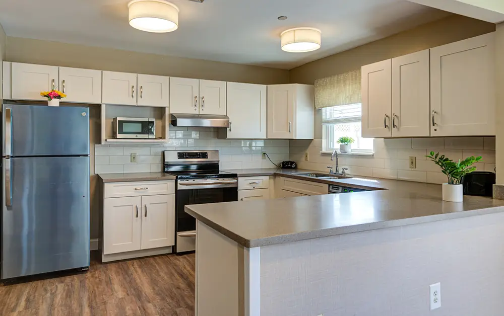 Allentown24 Modern kitchen with white cabinets, stainless steel appliances, gray countertops, a central island, and wood-style flooring. Small plants and a window add natural light and decor.