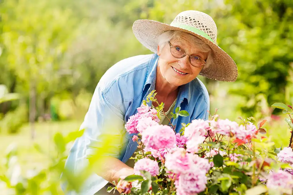 Older woman wearing a straw hat and glasses smiles while tending to pink flowers in a garden on a sunny day.