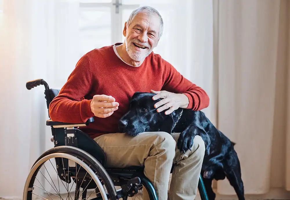 An older man in a wheelchair smiles while petting a black dog that rests its head on his lap in a bright indoor setting.