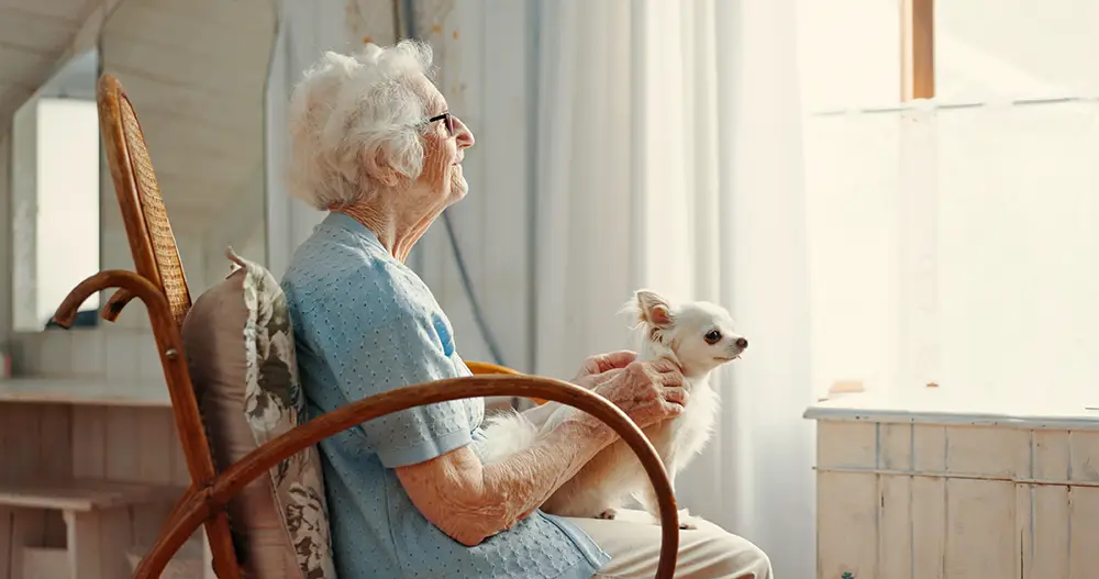 An elderly woman sits in a wooden chair by a window, holding a small white dog on her lap and looking outside. An elderly woman sits in a wooden chair by a window, holding a small white dog on her lap and looking outside.