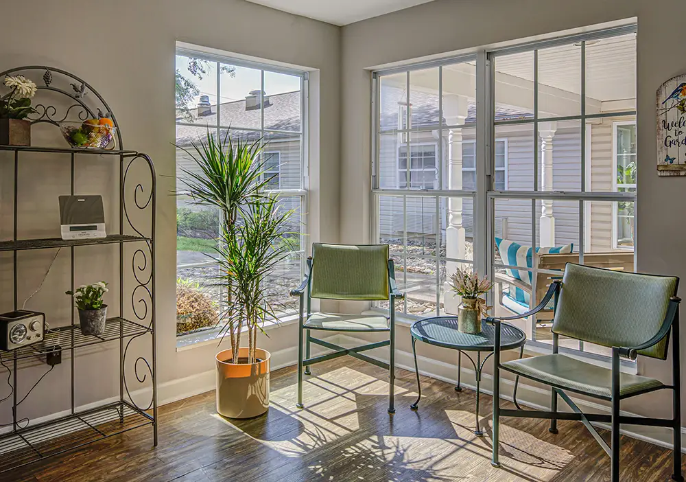 A bright sunroom with large windows, two green chairs, a small round table, a tall potted plant, and a black metal shelf with decor items. A bright sunroom with large windows, two green chairs, a small round table, a tall potted plant, and a black metal shelf with decor items.