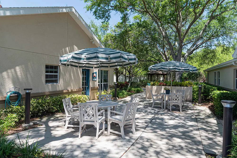 Outdoor patio area with white tables, chairs, and striped umbrellas on a concrete surface, surrounded by trees and landscaping beside a light-colored building. Outdoor patio area with white tables, chairs, and striped umbrellas on a concrete surface, surrounded by trees and landscaping beside a light-colored building.