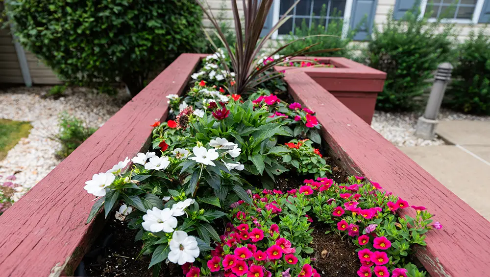Monroeville-3 A raised red wooden planter box filled with blooming white, pink, and red flowers, with shrubs and a building visible in the background.