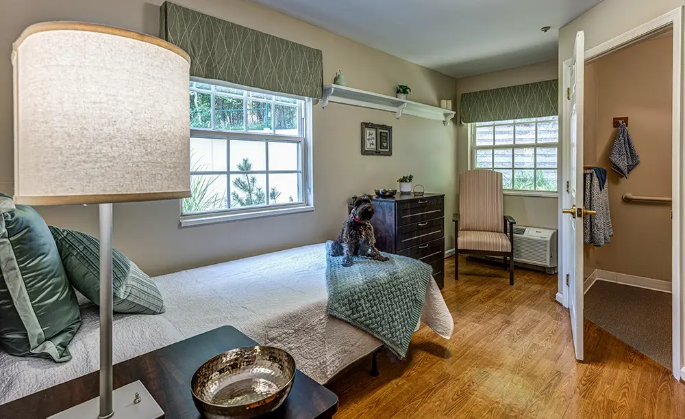 New Towson Exports01 A neatly made bed in a sunlit bedroom with a small dog sitting on the blanket, a chair, dresser, lamp, and windows with green valances.