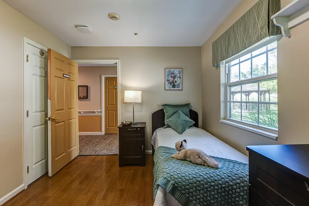 New Towson Exports05005 A neatly made single bed with pillows and a cat lying on top, next to a window in a tidy, well-lit bedroom with tan walls and wood flooring.