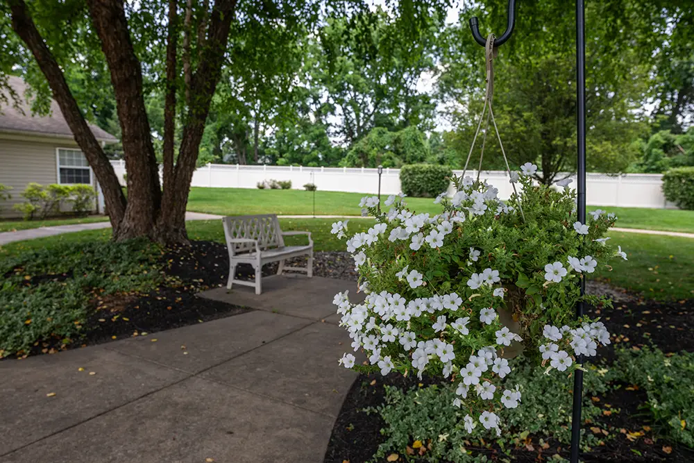 Sequence (1)Cedar Ridge-12 A hanging basket of white flowers is in the foreground near a paved path, bench, trees, and greenery in a fenced yard.