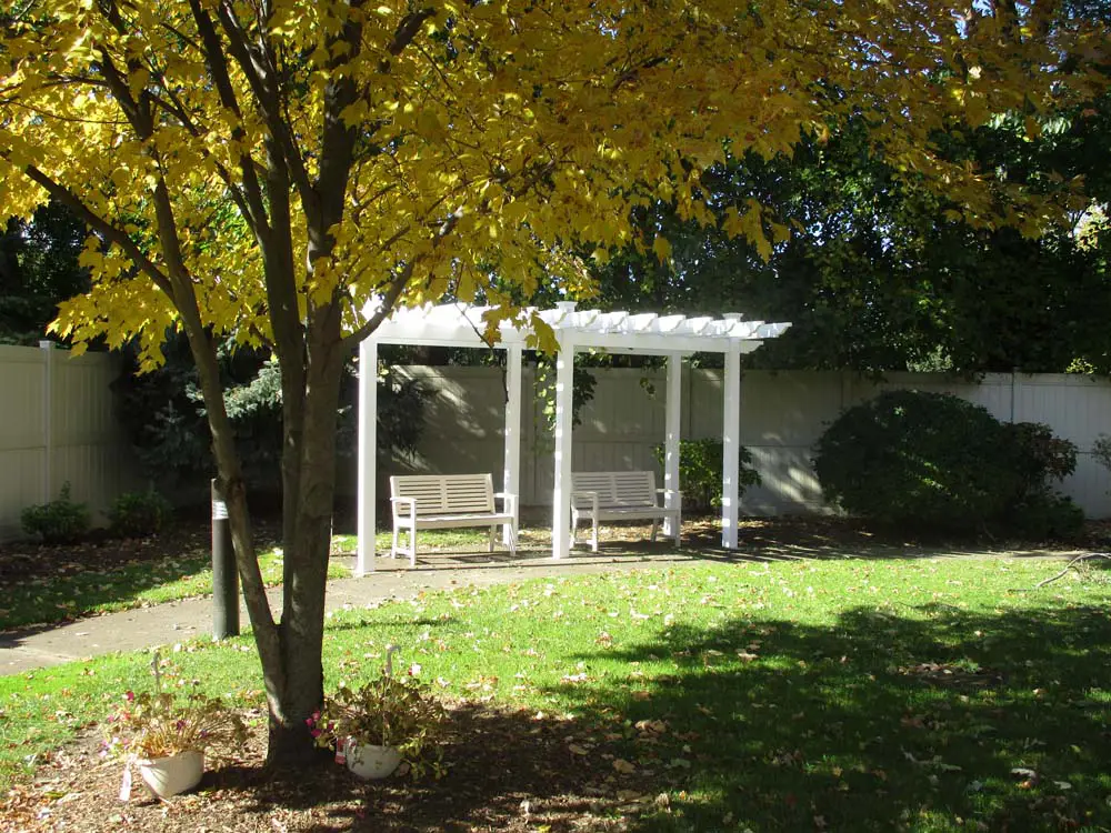 A white pergola with two benches stands in a sunny backyard, surrounded by green grass, trees, and shrubbery. A white pergola with two benches stands in a sunny backyard, surrounded by green grass, trees, and shrubbery.