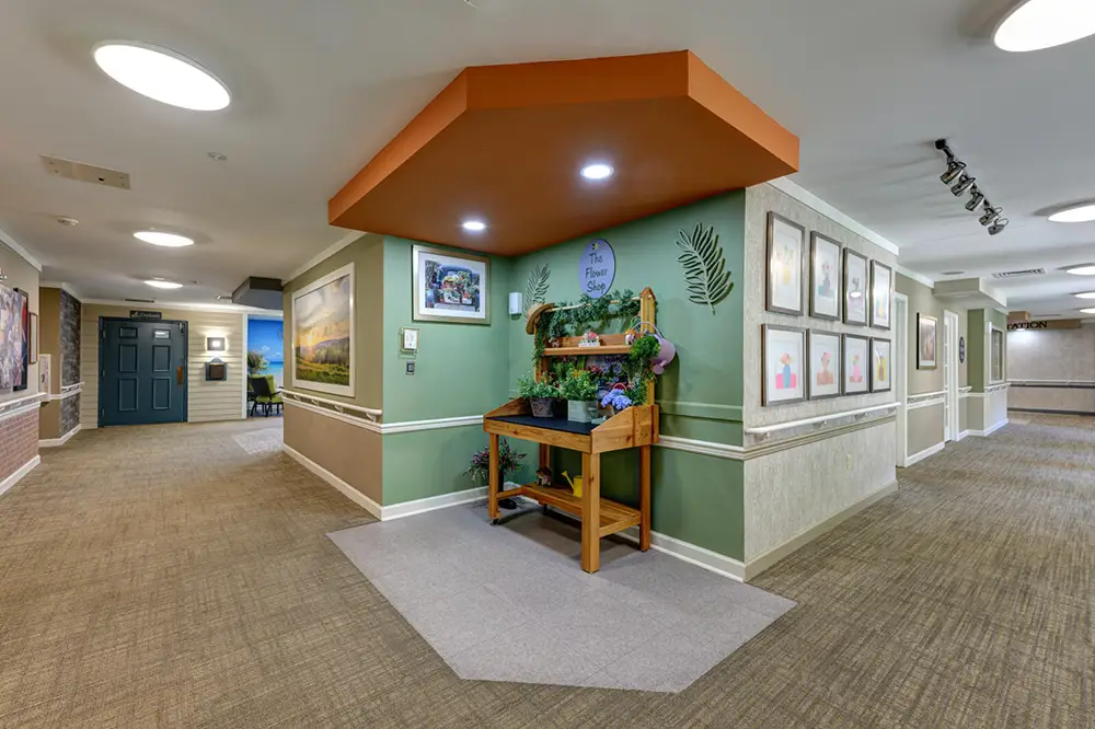 A hallway with green and beige walls features a wooden planter under wall art and a sign reading "The Plant Shop;" framed pictures line the adjacent walls.
