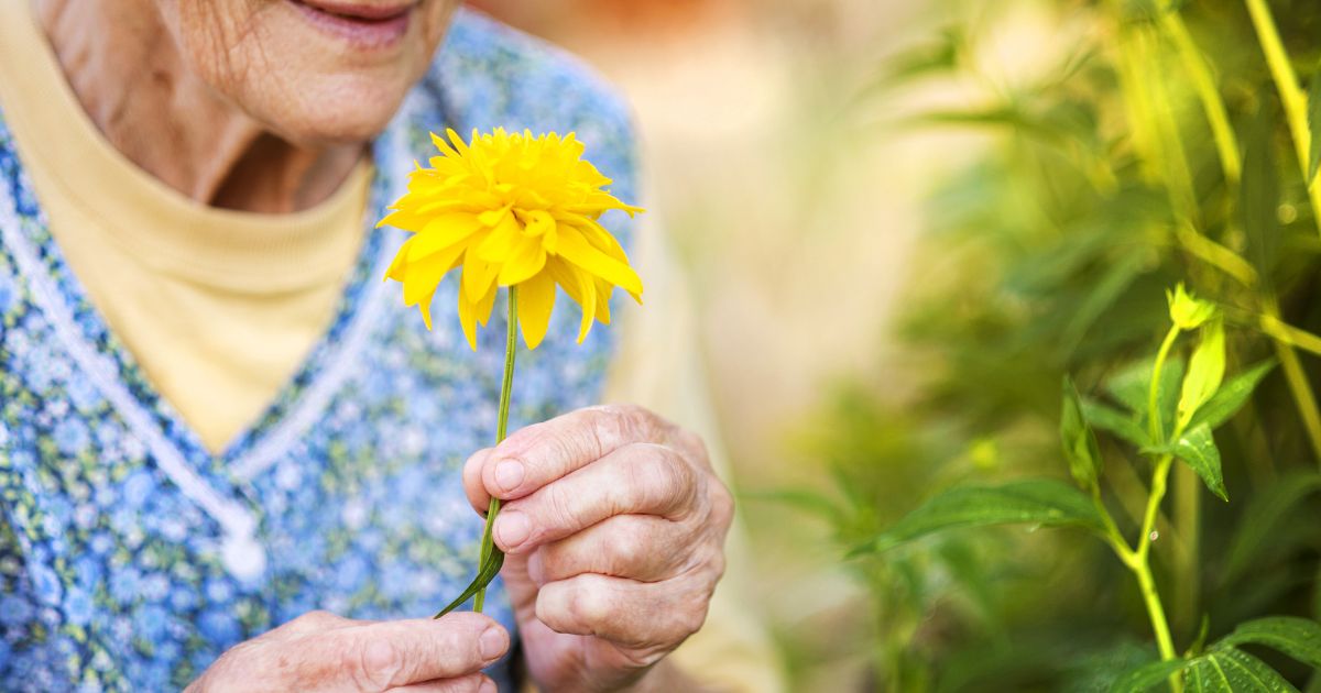 What Makes Memory Care in Florida Stand Out What Makes Memory Care in Florida Stand Out